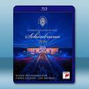 2024維也納美泉宮夏季音樂會 (2024)藍...