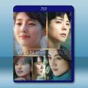 夢境 Wonderland(2024)藍光25G		 