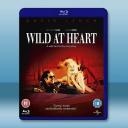 我心狂野 Wild at Heart (1990)藍光25G		 