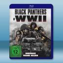 黑豹特攻隊/二戰黑豹 Black Panthers of WWII(2025)藍光25G		 