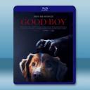乖狗狗 Good Boy(2025)藍光25G		 