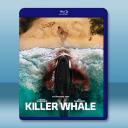殺人鯨 Killer Whale(2026)藍...